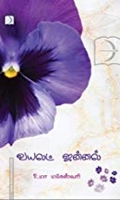 வயலட் ஜன்னல்